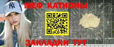 гашик Кингисепп