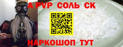 гашик Кингисепп