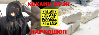 гашик Кингисепп