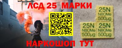 гашик Кингисепп
