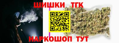 гашик Кингисепп