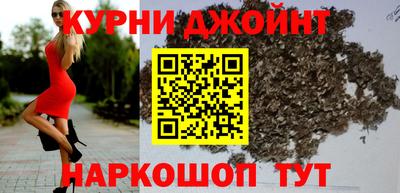гашик Кингисепп