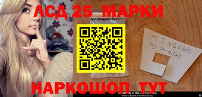 гашик Кингисепп